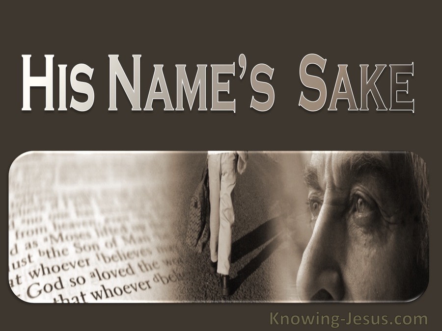 1 John 2:12 His Name's Sake (devotional)09:06 (beige)